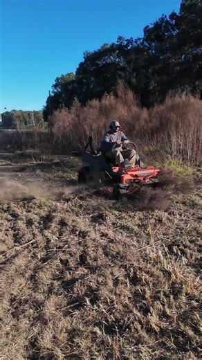 Erasing an Overgrown Field in Seconds 🚜💨