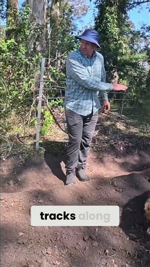 Excavator Tips I Wish I Knew 😂 Compacting Our First Swale