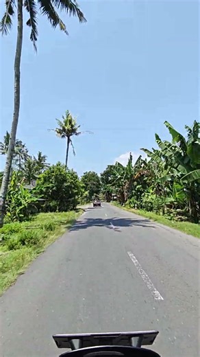 Daendels Road (West Side), Southern Java Route – Quiet, with Very Few Vehicles