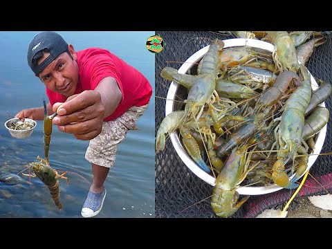 Pescando CAMARONES de RÍO - pesca extrema