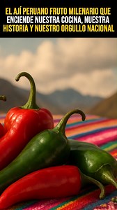 El Ají Peruano Fruto Milenario #peru #historia #Ají #reelsfacebook #OrgulloPeruano #viralvideoシ #xplicadope | Xplicadope.