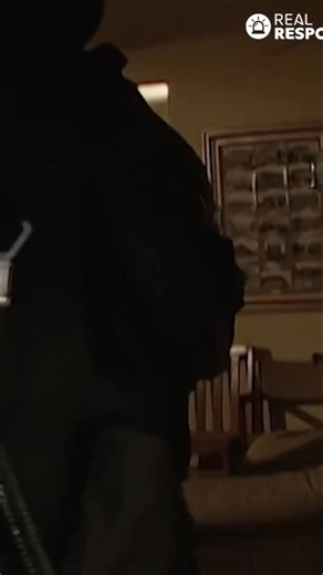 We uncover the truth behind a suspicious package, revealing a dangerous device. Our team x-rayed it to confirm the threat and then carefully disabled the firing system. Successfully disarming the package. #BombDisposal #SuspiciousPackage #Investigation #XRay #EmergencyResponse #SafetyFirst #Tech #Danger #Security #CrisisManagement | Real Responders