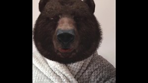 Going on a Bear Hunt Storytelling