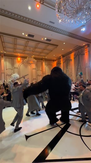 Wave Entertainment on Instagram: "Another groomsman’s and a gorilla entrance #weddingvibes #brideandgroom #justmarried #weddinginspiration #arab #egyptianweddings #egyptians #gorilla #egyprianweddings"
