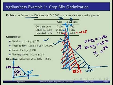 Lesson 19: 🌾 AGRIBUSINESS MASTERCLASS 📈 Linear Programming: Maximize Profit, Minimize Waste!