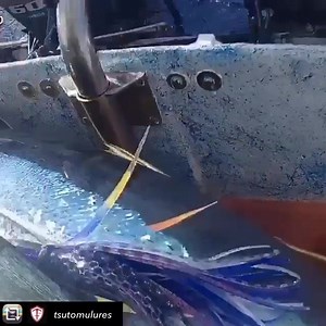 8.9K views · 145 reactions | 9” Moke invert is always a great choice for chasing Ahi! https://tsutomulures.com/collections/lures/products/purple-moke-bullet | Tsutomu Lures Hawaii | Facebook