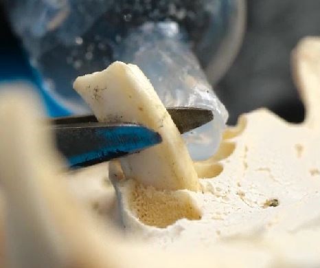 1.1M views · 2.1K reactions | Unusual fossil crafts that are real time capsules! | 5-Minute Crafts | Facebook