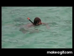 Classic "Caddy Shack" doodie in pool- Hilarious! on Make a GIF