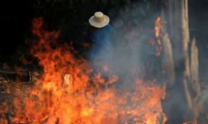 Amazon rainforest fire: When did the Amazon rainforest fire start?