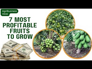 7 Most Profitable Fruit Farming Business Ideas for Small Farmers
