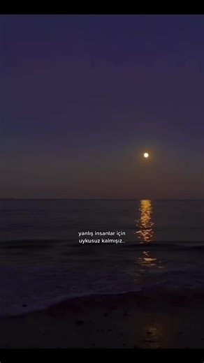 Tranquil Nighttime Beach with Full Moon Reflection