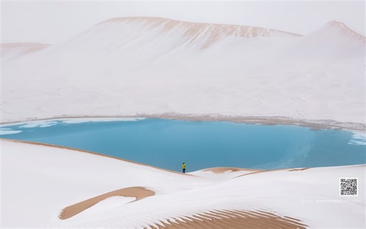 StatQuest_ Random Forests in R