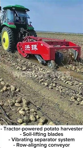 Amazing Modern Potato Harvesting Machine