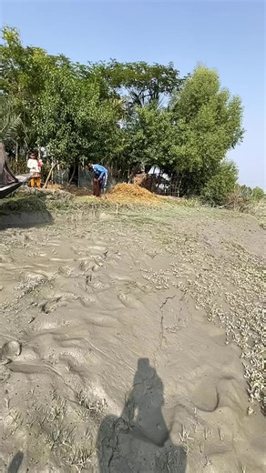 Mastering the Art of Flying Cast Nets for Fishing