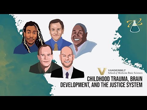 Childhood trauma, brain development, and the justice system