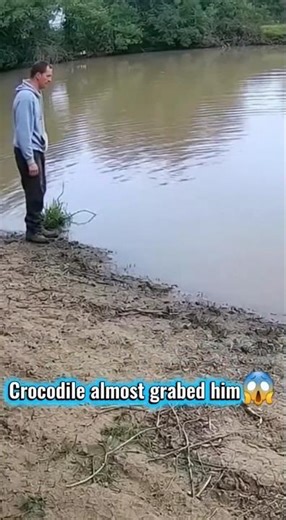 Crocodile Attack Caught on CCTV | Terrifying River Encounter😱😱