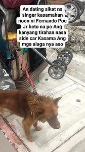 25K views · 323 reactions | Isa syang sikat dati na singer at Banda at Ngayon Dito na sya nakatira sa sidecar at aming pinakanta sya ayaw nya dahil paos na Ang kanyang boses at matanda na Rin daw sya kahit saan daw Sila mapadpad Dito sa maynila at Ngayon mayron sya maintenance na gamot dami naman sa kanya nag bibigay Ng tulong sa mga tao | Jonnel Agang | Facebook