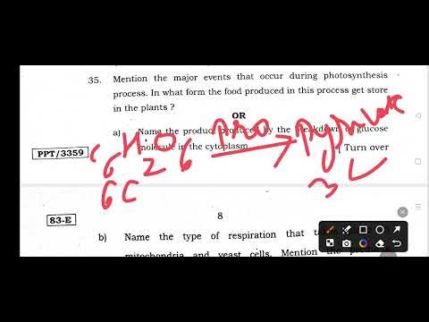 SSLC SCIENCE 2025 STATE LEVEL PREPARATORY QUESTION PAPER KEY ANSWERS