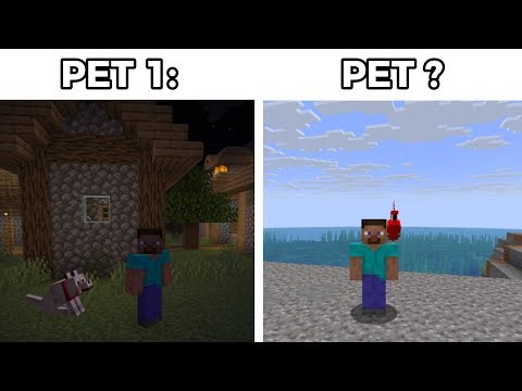 TOP 5 Minecraft PETS!