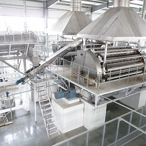 [Hot Item] High Quality Mashed Potato Powder Making Processing Machine