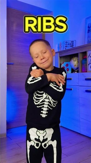 Meet Your Skeleton – Bones and What They Do! 🦴