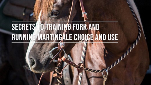 10K views · 142 reactions | Secrets to Training Fork and Running...