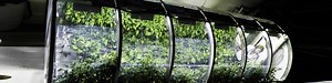 NASA unveils inflatable greenhouse for sustainable farming on Mars