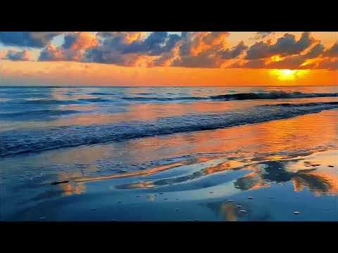 ASMR Seaside Serenity | Ocean Breeze & Gentle Waves for Sleeping, Studying, and Relaxing