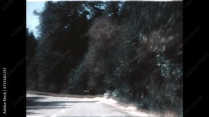 Driving in the Forest 1968 - First person view from a car as it drives through Cleveland National Forest, named for President Grover Cleveland, in southern California, 1968.