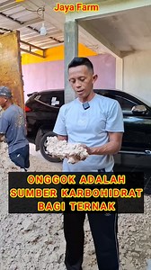 186K views · 1.7K reactions | Sumber karbohidrat kambing domba | Ternak Tani Jaya | Facebook