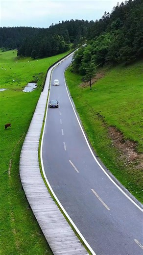 🌆✨ #Chongqing: The Gravity-Defying Mountain City of China 🚠 Warning: once you set foot here, no other city will feel the same. 👀 Built on mountains, wrapped in rivers, and glowing in neon — Chongqing feels like a movie set brought to life. 🎬🔥 ✨ Top Places You Can’t Miss: 🌲 Fairy Mountain — clouds drifting over endless grasslands 🌉 Tiansheng Sanqiao — the world’s largest trio of natural stone bridges ⛴ Wujiang Gallery — a dreamy cruise through emerald cliffs 🏮 Hongya Cave — Spirited Away 