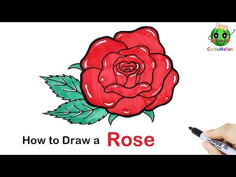 兒童簡筆畫盛开的玫瑰花How to Draw a Rose - step by step！ Easy and Cute Drawings for kids【西瓜寶寶學畫畫學英語】兒童繪畫簡筆畫教程