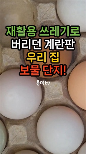 재활용 쓰레기로 버렸던 계란판이 우리 집 보물? 달걀판 최고의 활용 꿀팁