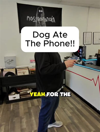 Dog Ate the Phone? We Can Help with Repairs!