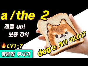 [영문법 뿌시기 1] #7. a, the 사용법 (2) ㅡ 차이점, 개념 다지기 || 기초 영어 공부 / 왕초보 영어 훈련소