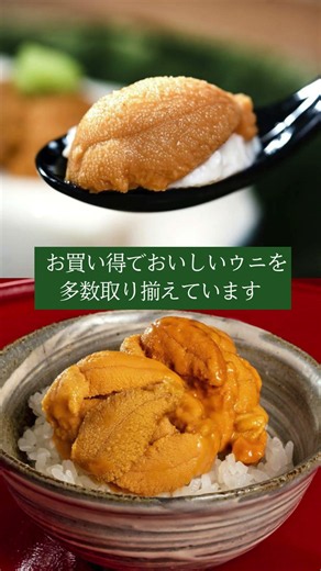 Toyosu Market.com | Toyosu’s Finest Sea Urchin