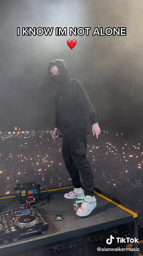 Insane singalong 🥵🔥 I KNOW IM NOT ALONE ❤️ #walkerverse #alone #alanwalker #concert