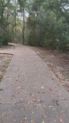 Walk with me in forest and enjoy fresh air. #nature #forestwalk #naturephotography #travel #usa