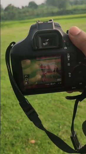 Canon EOS 3000D Portrait Photography Test With Prime Lense #canondslr