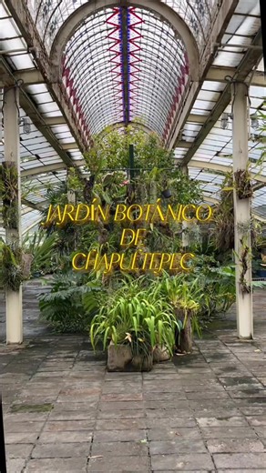 Descubre el Jardín Botánico de Chapultepec