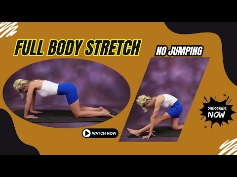 Full Body Stretching Routine | Daily Flexibility & Mobility for All Levels (10 Minutes)