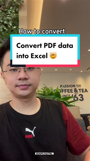 Excel Tips: Convert PDF Data into Excel Easily
