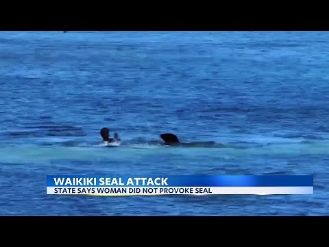 Woman shares story after terrifying monk seal attack in Waikiki