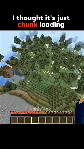 I thought it was chunk loading 😭 #minecraft #minecraftshorts #memes #shorts #funny #viral #original