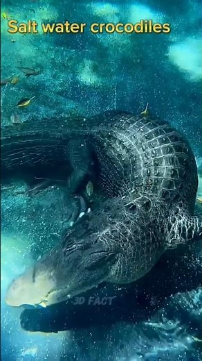 Wild Animals That Are SECRETLY Deadly!#sciencefacts