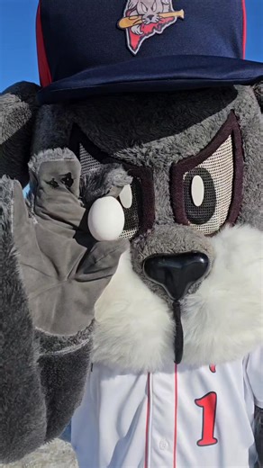 Had so much fun at 52th annual Dysart’s Snowmobile Ride-In and Pine Tree Camp’s Celebrity Egg Ride. This was a fun opportunity and raised money to help Pine Tree Camp. Pine Tree Camp never turns a camper away due to financial reasons. These eggs are un-marketable meaning they could be sold and we're going to be thrown away. #maine #pinetreecamp #eggride #eggs #snowmobile #tourism #charity Pine Tree Camp | The Downeast Cowboy