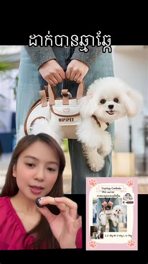 គណនីដែលបានណែនាំ