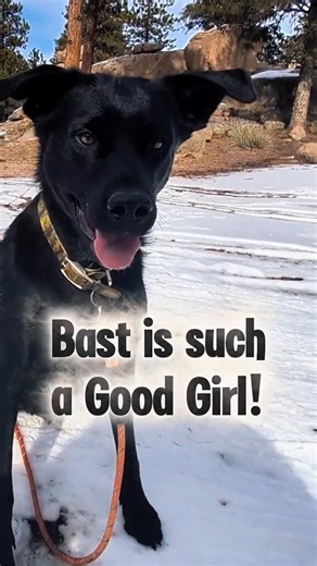 She's Brilliant and She Knows It!