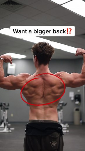 Effective Back Workout Routine for a Stronger Back