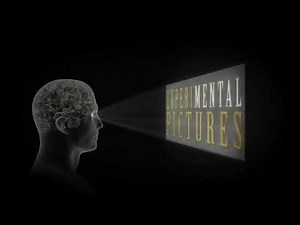 Beacon/Experimental Pictures/ABC Studios (2011)